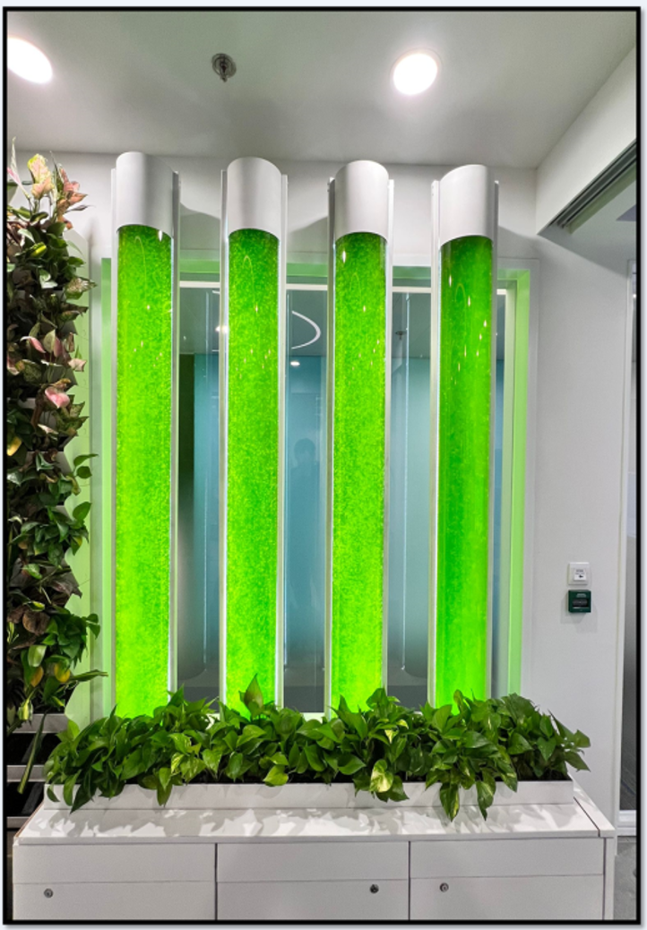 AlgaNexus microalgae reactor tubes installed in a building lobby