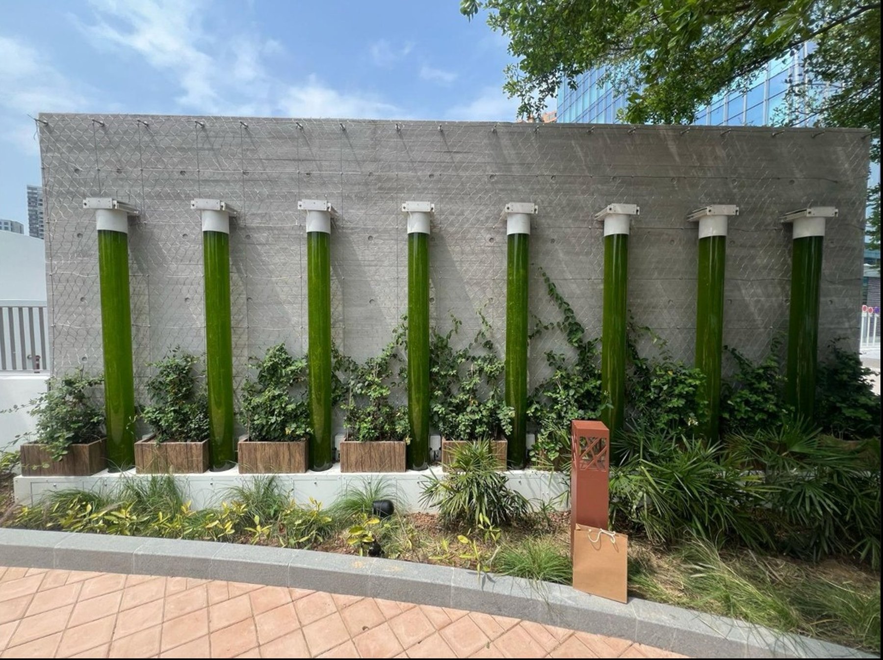 Alganexus microalgae reactor tubes installed on an outdoor facade wall