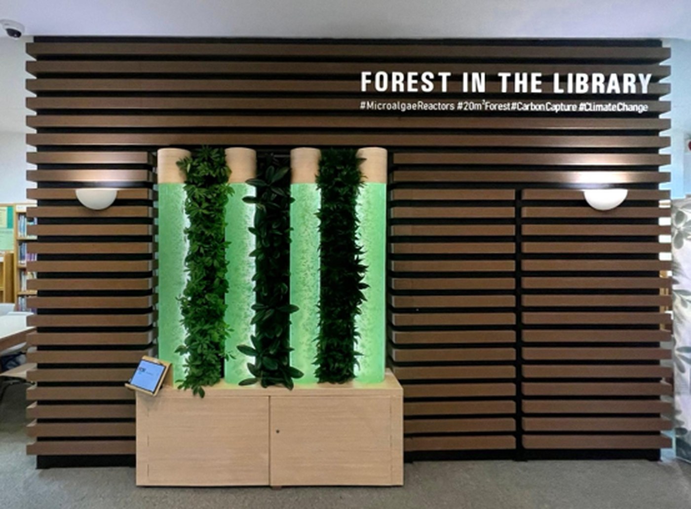 Forest in the Library, an educational public installation