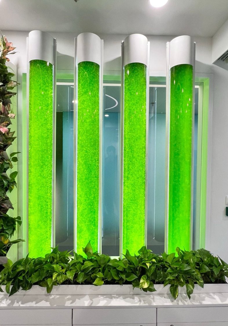 Government building lobby installation
